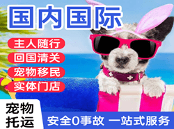 包头东河机场货运国际宠物托运 【国